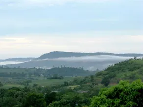 Bu-Ngasari Resort - Image 5