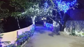 Jingle Bells Corbett - Image 2