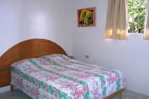 Real Dominican Republic Discovery - Image 4