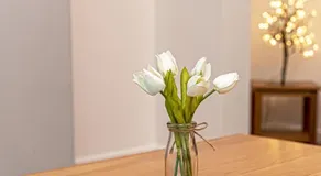 Taitwt1 - Image 4