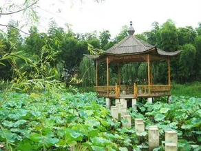 Yinlin Villa Resort - Image 3