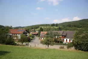 Hotel & Landgasthaus Pfeifertal - Image 5