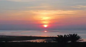 Galveston Condo W/ Pool Access & Ocean Views! - Image 4