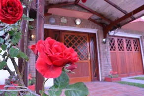 Departamentos Familiares Rosas Rojas - Image 2