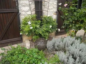 Le Clos Joli - Image 2