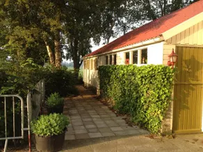 Tussen de Berken - Image 4