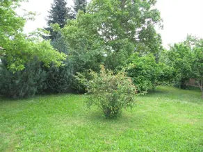 Budai Garden House - Image 3