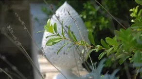 Relais delle Ceramiche - Image 2