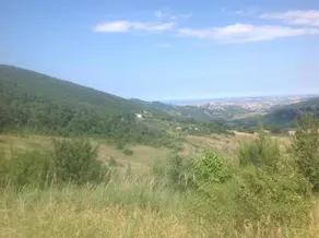 Dal Biondo - Image 4