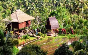 Kebun Villas - Image 2