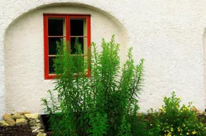 Garden Residence Prague Castle - Image 2