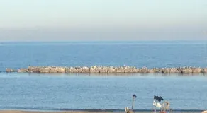 B&B La Casa Sulla Spiaggia - Image 2