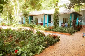 Sunny Backpackers - Image 2