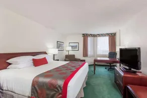 Riviera Hotel Calgary Airport - Image 3