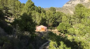 Yurta Naranja - Image 2