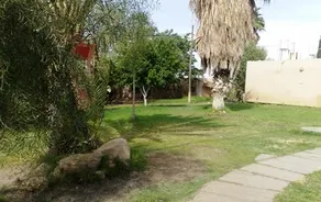 Desert Ashram - Image 2