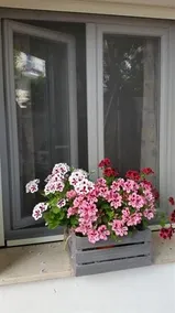 Casa Le Ortensie - Image 5