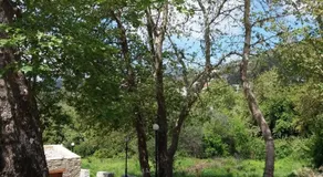 Katrina's Stone House - Image 5