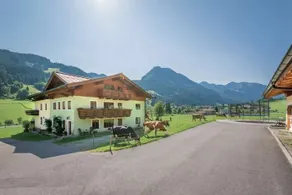 Stockhambauer - Image 1