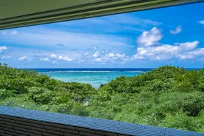 Genius Resort - Image 2