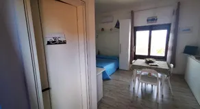 Nido di mare - Image 4
