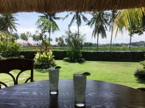 Villa Veles in Sukawati - Image 3