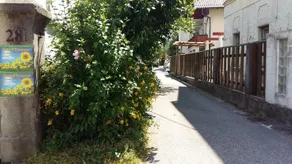 Sunflower Accommodation - Image 2