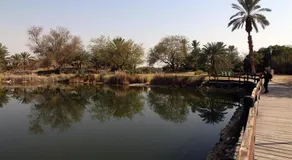 The Brown House, A private & special house for couples, friends & family - Image 2