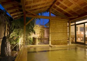 Akita Onsen Plaza - Image 5