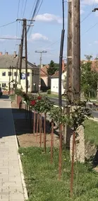 Szt Kristóf Vendégház - Image 4