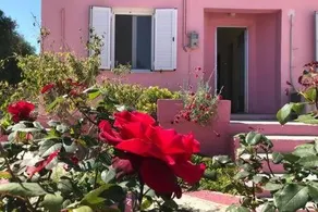 Sofis House( Pink house) - Image 4