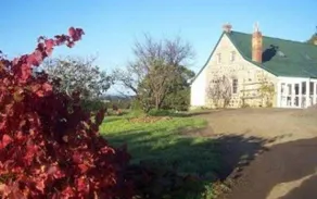 Craigie Knowe Cottage & Vineyard - Image 2