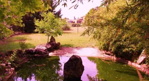 Villa Hacienda private pool and jacuzzi - Image 5