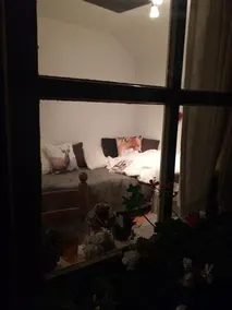 B&B De Voshaar - Image 4