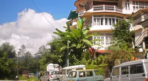 Green Retreat - Image 2