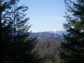 Les Chalets D'alzen - Image 4