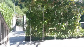 Apartment Villa Dobrijevic -Seljanovo - Image 4