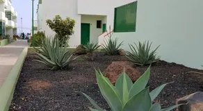 El arco iris - Image 5