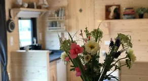 Guesthouse Island Memories - Image 3