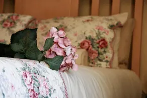 Fox’s Hill Guesthouse - Image 5