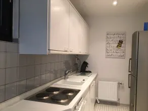 großzugiges Apartment mit Blick ins Grune und eigener Terrasse - Image 3
