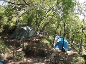 Adrenaline Check Kaki Event Place - Image 4