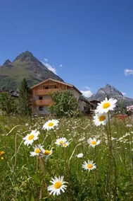 Piz Fliana - Image 1