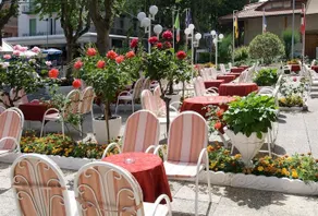 Garden Igea Marina - Image 2