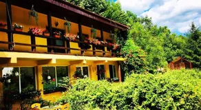 House In The Woods - Image 2