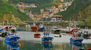 Colores del mar - Image 3