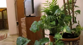 Apartment in Lviv city centre - Image 2