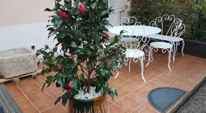 23 Rue Jean Amade - Image 2