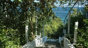 Andreas Studios - Image 2