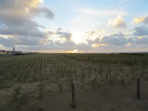 Lef - Image 5